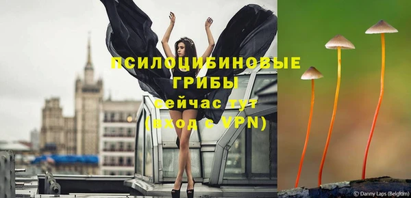 гидра Новокубанск