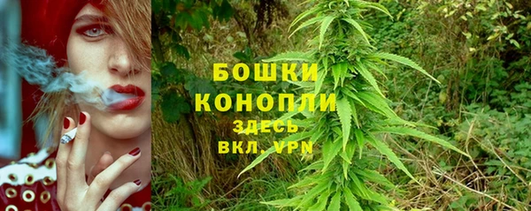 первитин Новодвинск