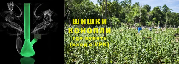 первитин Новодвинск