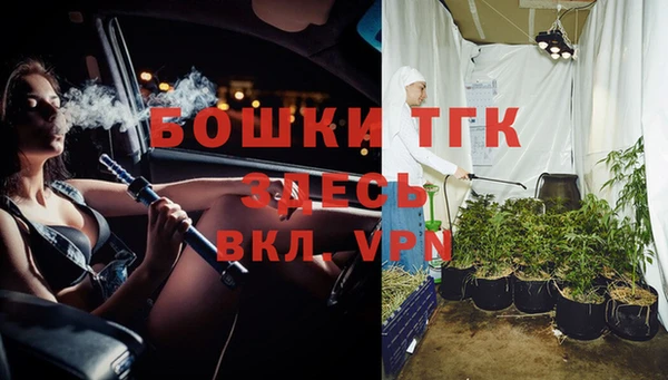 первитин Новодвинск