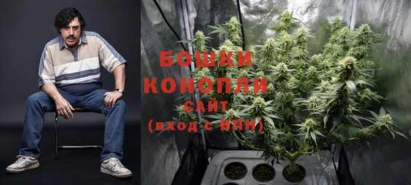 дмт Новозыбков