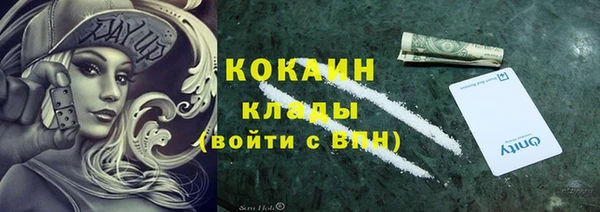 дмт Новозыбков