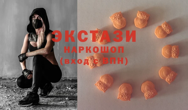 дмт Новозыбков