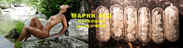 первитин Новодвинск