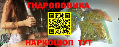 шишки Ипатово