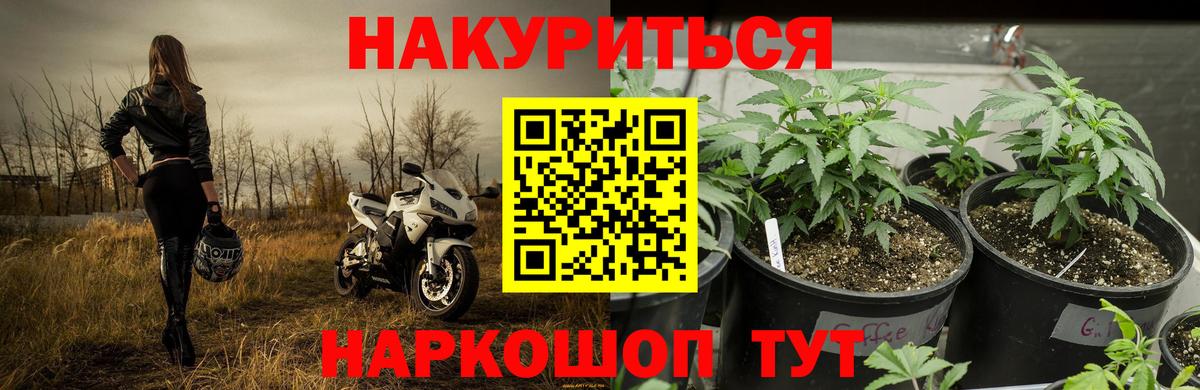 Шишки марихуана семена Мегион